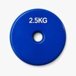 ⁦طارة دمبل (زوج، 2 طارة بوزن 5kg) وزن الواحدة 2.5kg – فينيل، ازرق⁩ - الصورة ⁦2⁩